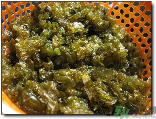 地皮菜怎么清洗干凈？怎樣洗地皮菜？