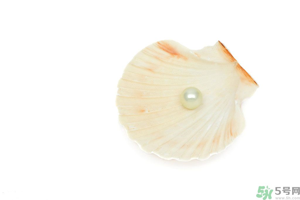 河蚌怎么炒才不會(huì)老？炒河蚌要注意什么？