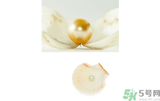 河蚌怎么炒才不會(huì)老？炒河蚌要注意什么？