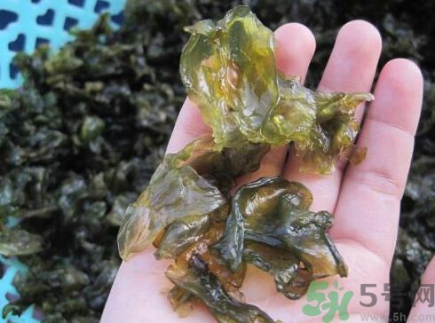 地皮菜孕婦能吃嗎？地皮菜孕婦吃好嗎？