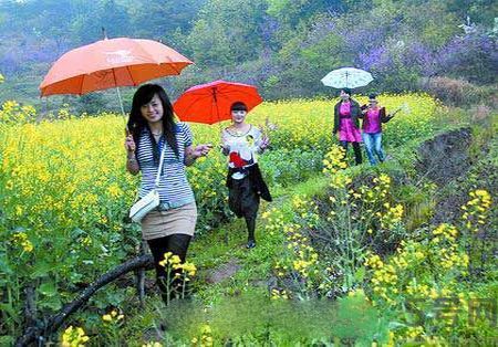 清明節(jié)為什么要踏青？清明節(jié)踏青有什么好處？