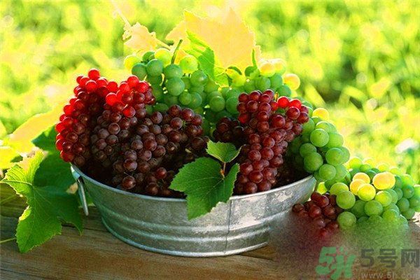 高血脂吃什么水果好？什么水果可以降血脂？