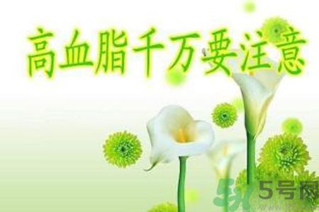 高血脂會頭暈嗎？高血脂會引起高血壓嗎？