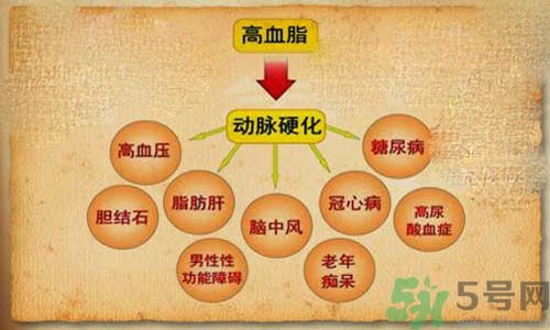 高血脂會頭暈嗎？高血脂會引起高血壓嗎？