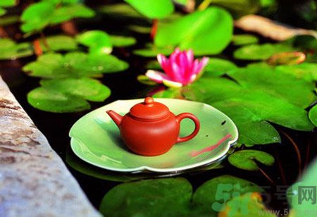 降血脂的茶有哪些？什么茶可以降血脂？