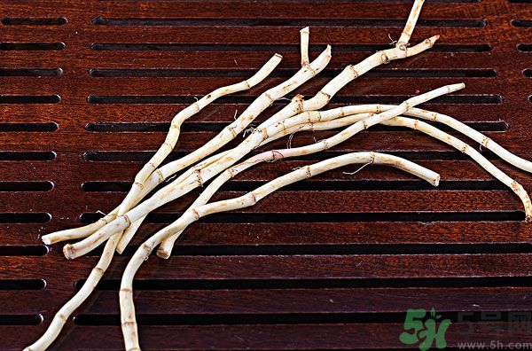 魚腥草能泡水喝嗎？魚腥草泡水喝有什么功效？
