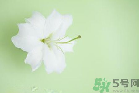 春季咳嗽怎么辦？春季咳嗽吃什么好？