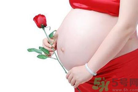孕婦可以吃枸杞嗎？孕婦吃枸杞好嗎？