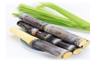 清明節(jié)可以吃甘蔗嗎？清明節(jié)不能吃哪些食物？