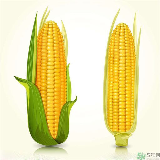 糖尿病可以吃玉米嗎？糖尿病吃玉米好嗎？