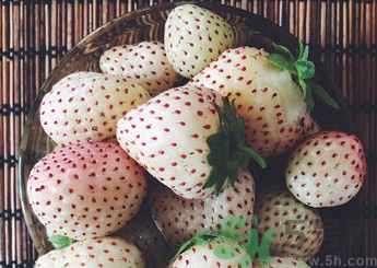 菠蘿莓好吃嗎？菠蘿莓好不好吃？