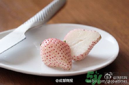 菠蘿莓好吃嗎？菠蘿莓好不好吃？
