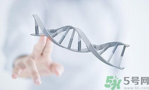糖尿病會遺傳嗎？糖尿病會遺傳給胎兒嗎？