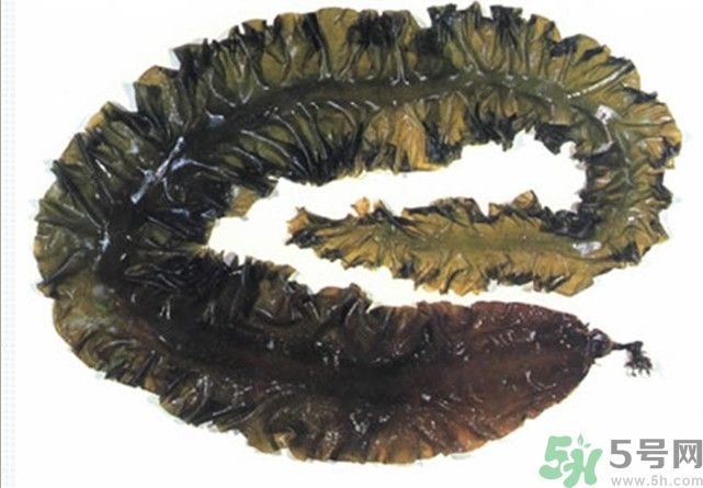 海帶用冷水泡還是熱水泡發(fā)？海帶怎么泡才不會發(fā)硬？