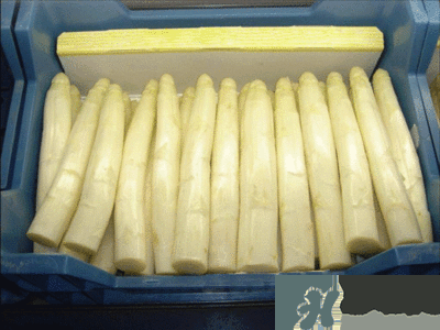 吃蘆筍注意事項(xiàng)有哪些？蘆筍有什么藥用功效？