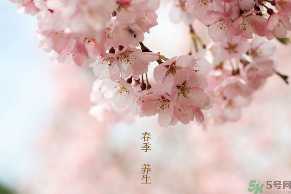 女性春季養(yǎng)生吃什么？女性春季怎么養(yǎng)生？