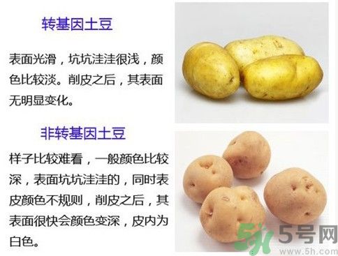 土豆變綠還能吃嗎？土豆變綠有什么危害？