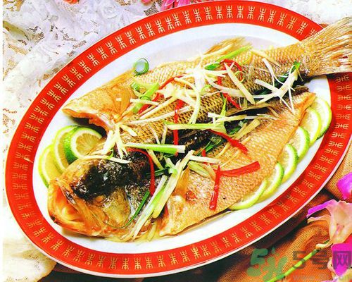 痛風(fēng)可以吃魚(yú)嗎？痛風(fēng)可以吃什么魚(yú)？