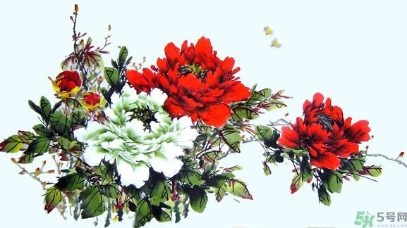 牡丹的花語是什么？牡丹的寓意是什么？