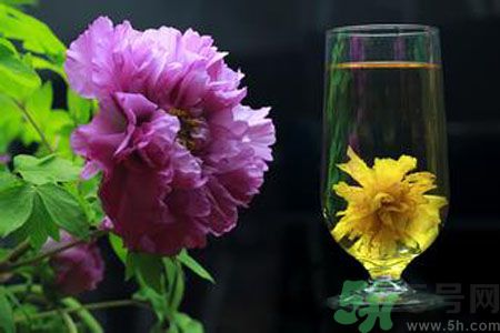 牡丹花可以和菊花一起泡嗎？牡丹花和菊花一起泡茶好嗎？