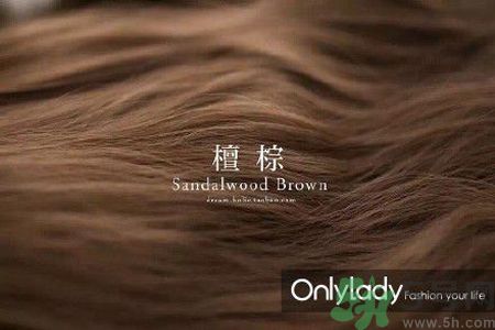 九大染發(fā)色系有哪些？哪種染發(fā)色系最適合女生？