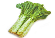 萵筍可以和芹菜一起炒嗎？萵筍和芹菜一起炒好嗎？