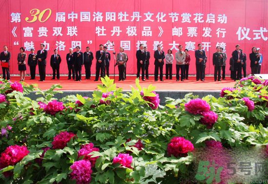 洛陽牡丹文化節(jié)活動有哪些？洛陽牡丹文化節(jié)門票是多少？