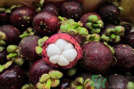 山竹可以和牛奶一起吃嗎？山竹和牛奶一起吃好嗎？