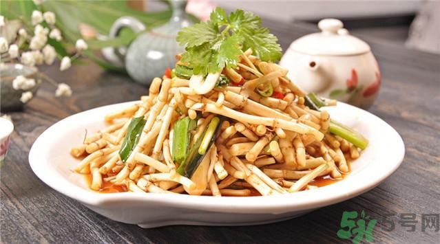 魚腥草可以止咳嗎？魚腥草止咳的辦法有哪些？