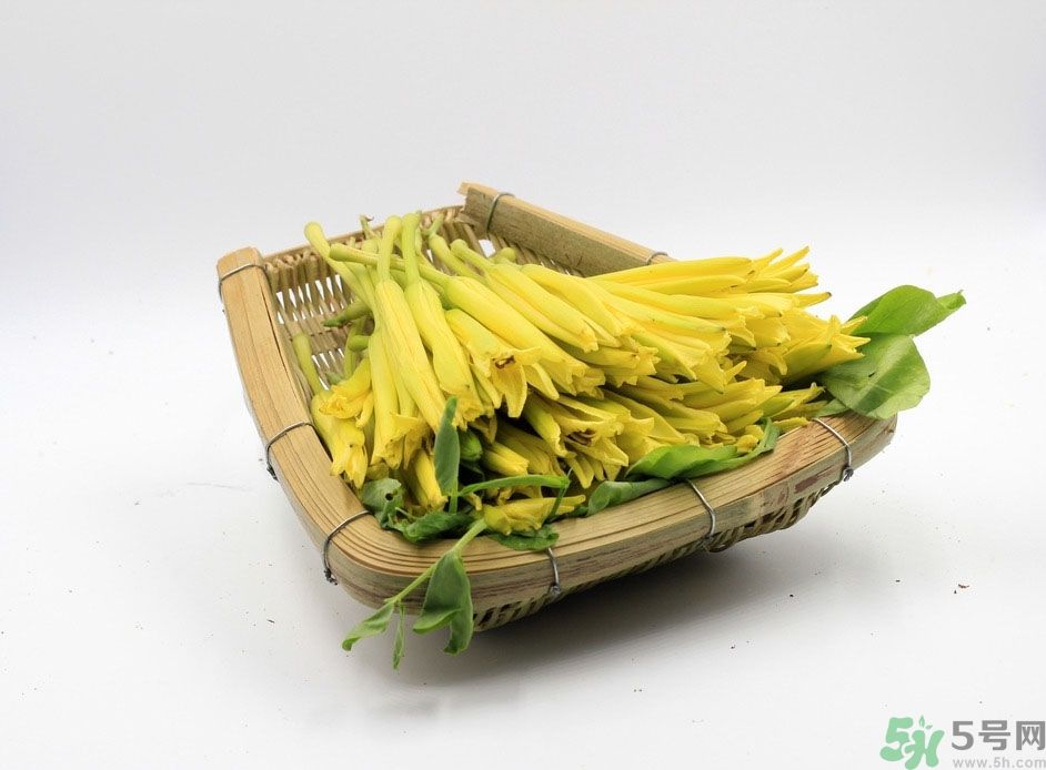 黃花菜可以治療抑郁癥嗎？兩噸黃花菜治好了抑郁癥是真的嗎？