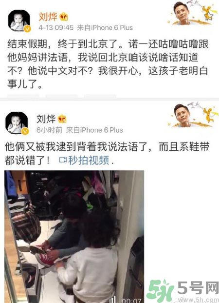 諾一雪梨是誰(shuí)？為什么叫諾一雪梨？