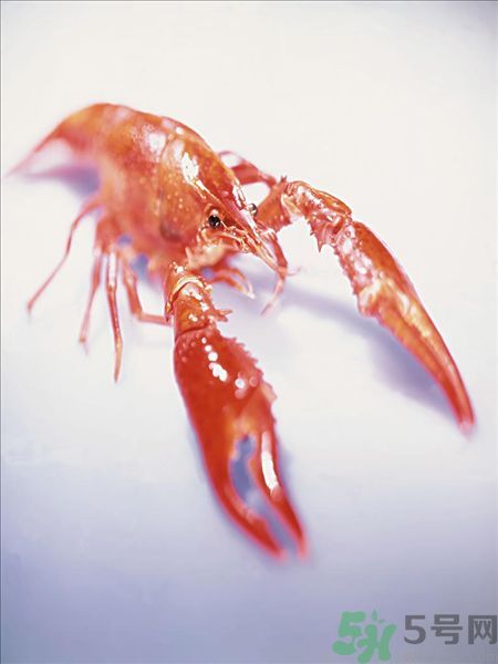 油燜大蝦為什么肉散了？油燜大蝦怎么做肉不散？