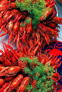 油燜大蝦用的是什么蝦？油燜大蝦用什么蝦最好？