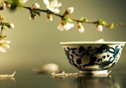 春天喝什么茶養(yǎng)生最好？春天喝茶要注意什么？