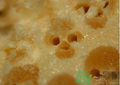 經常用一次性筷子可以嗎？一次性筷子有病毒嗎？