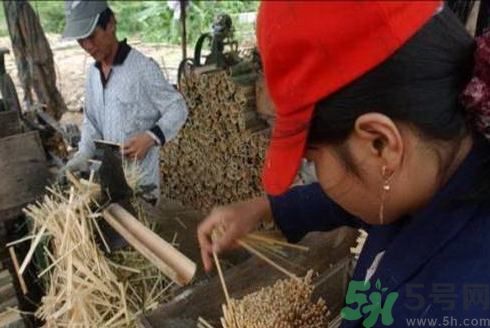 經常用一次性筷子可以嗎？一次性筷子有病毒嗎？
