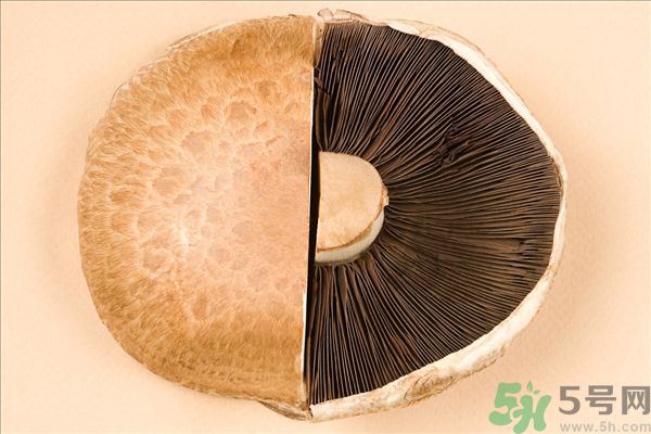 菇類的營養(yǎng)價值有哪些？怎樣挑選優(yōu)質(zhì)的菇類？