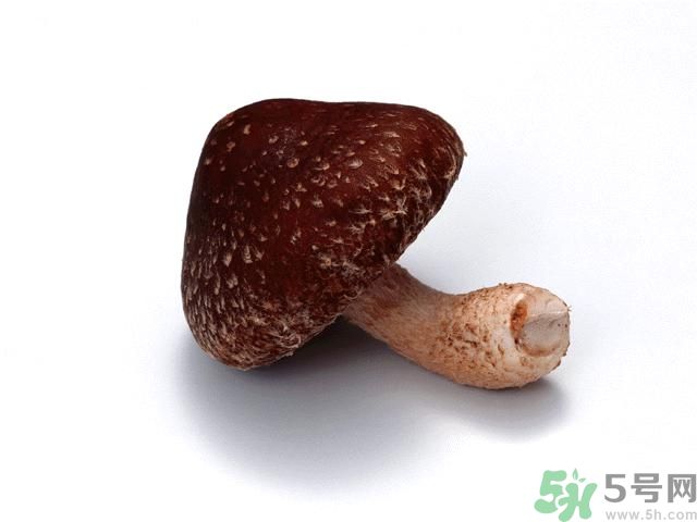 西紅柿發(fā)青可以吃嗎？青西紅柿吃了好不好？