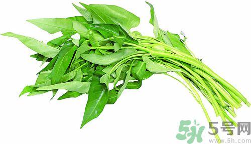 空心菜和雞能一起吃嗎？空心菜怎么吃有營養(yǎng)？