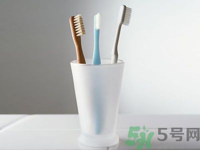 牙齦出血要換牙刷嗎？牙刷多久換一次好？