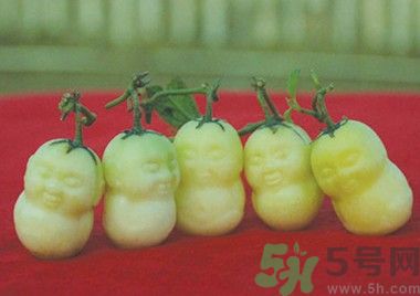 人參果怎么吃？人參果的營養(yǎng)價值有哪些？