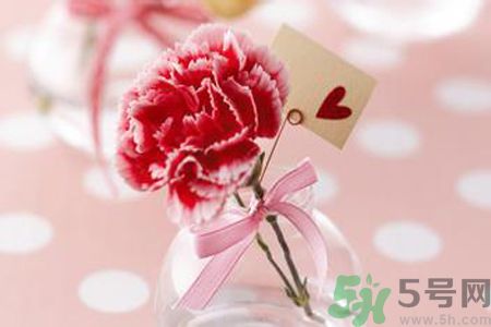 母親節(jié)送什么顏色的康乃馨？母親節(jié)應(yīng)該買什么顏色的康乃馨？
