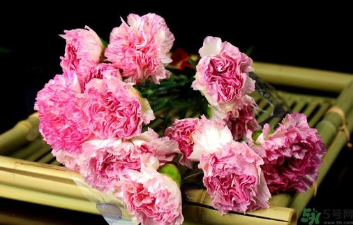 母親節(jié)送什么花好？母親節(jié)應(yīng)該送什么鮮花？