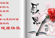 母親節(jié)送什么花好？母親節(jié)應該送什么鮮花？
