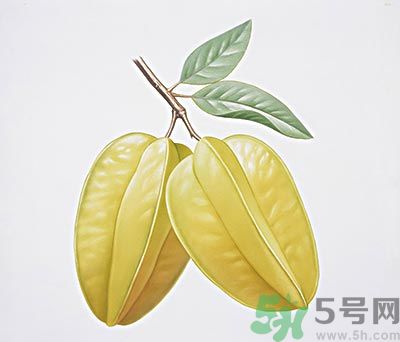 楊桃和什么不能一起吃？楊桃不能與什么同食？