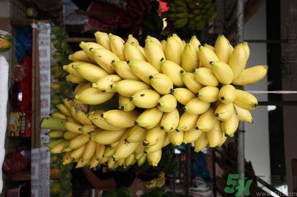 孕婦可以吃牛奶蕉嗎？孕婦吃牛奶蕉好嗎？