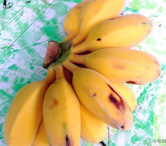 什么是牛奶蕉？牛奶蕉好吃嗎？