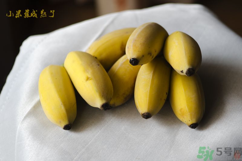 牛奶蕉可以和蘋果一起吃嗎？牛奶蕉和蘋果一起吃好嗎？