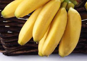 糖尿病可以吃牛奶蕉嗎？糖尿病吃牛奶蕉好嗎？