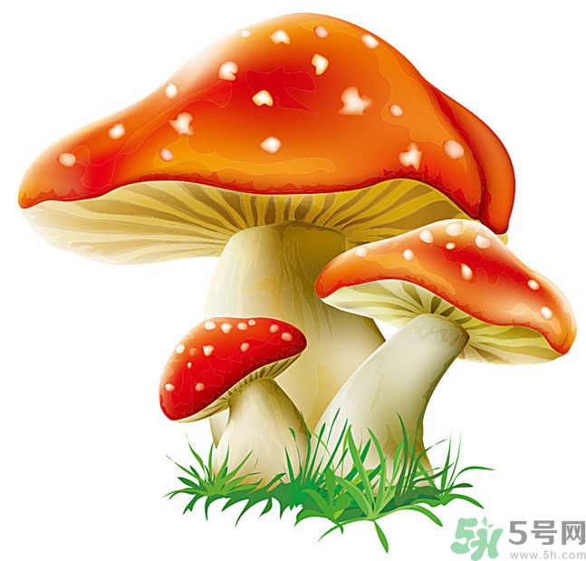 吃蘑菇可以喝酒嗎？吃蘑菇喝酒會中毒嗎？